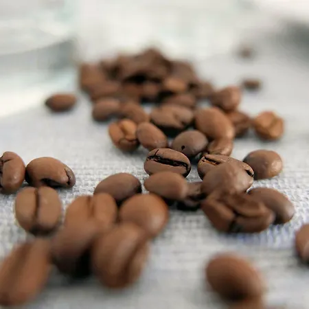 Chilliapartamenty - Blizej Morza - Espresso Apartment