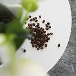 Apartamento Chilliapartamenty - Blizej Morza - Espresso