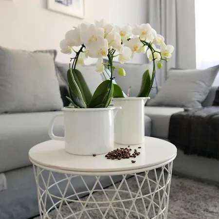 Chilliapartamenty - Bliżej Morza - Espresso *