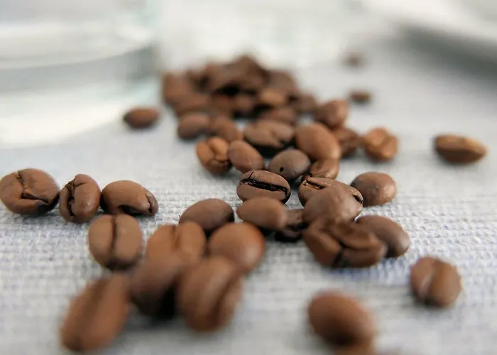 Chilliapartamenty - Blizej Morza - Espresso Appartamento