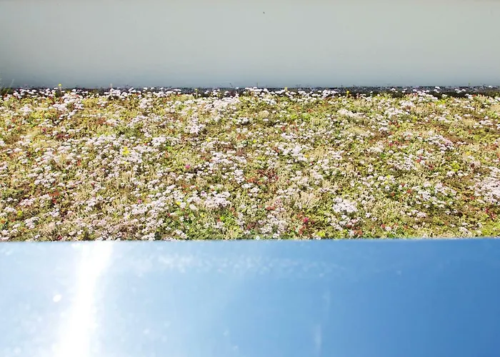 Chilliapartamenty - Blizej Morza - Espresso * Kołobrzeg